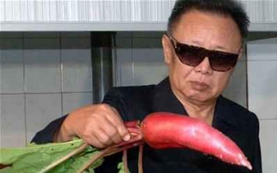 Kim Jong Il: Still Looking at Things